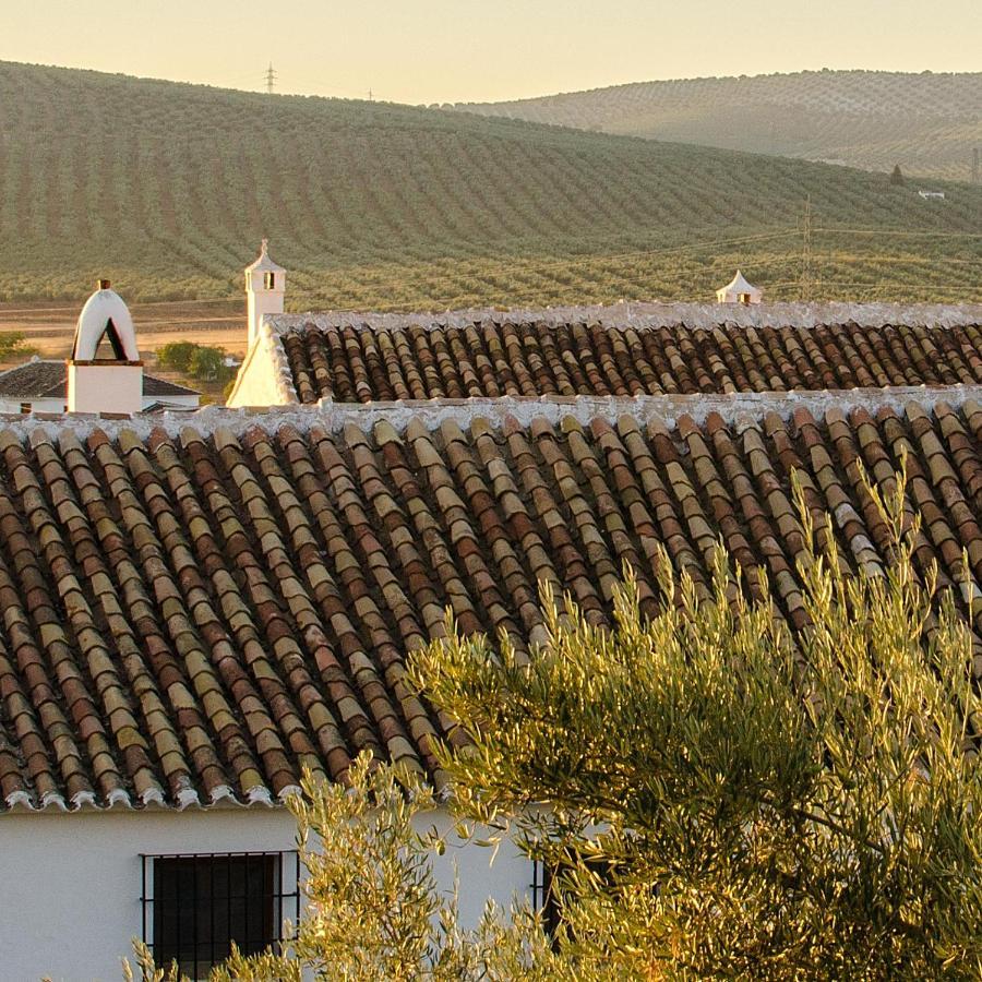 Cortijo Alzamigaja Villa Archidona Exteriör bild