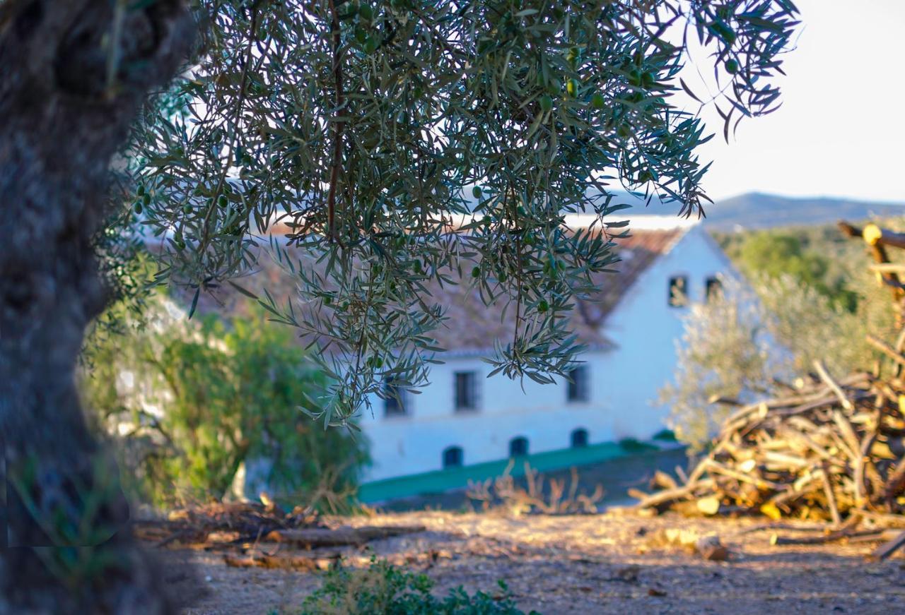 Cortijo Alzamigaja Villa Archidona Exteriör bild