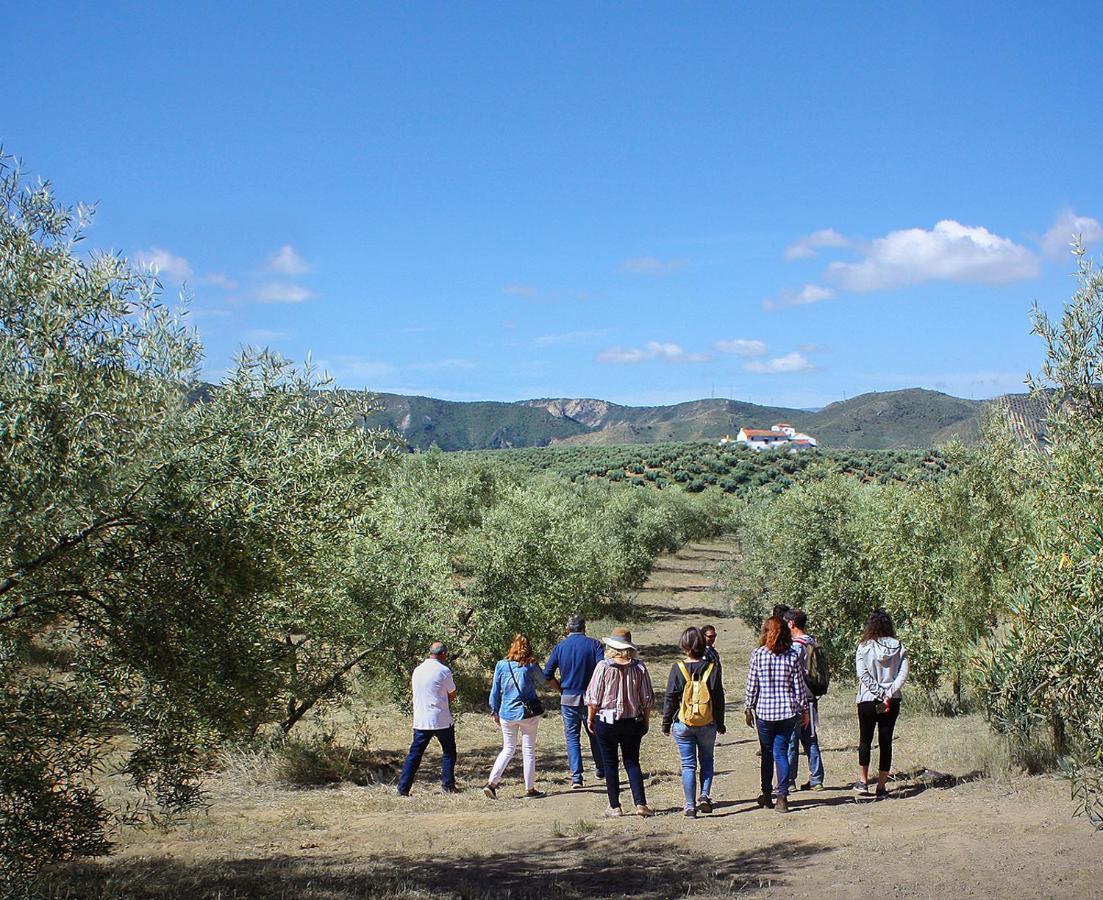 Cortijo Alzamigaja Villa Archidona Exteriör bild