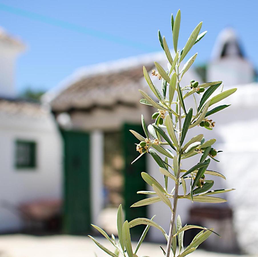 Cortijo Alzamigaja Villa Archidona Exteriör bild