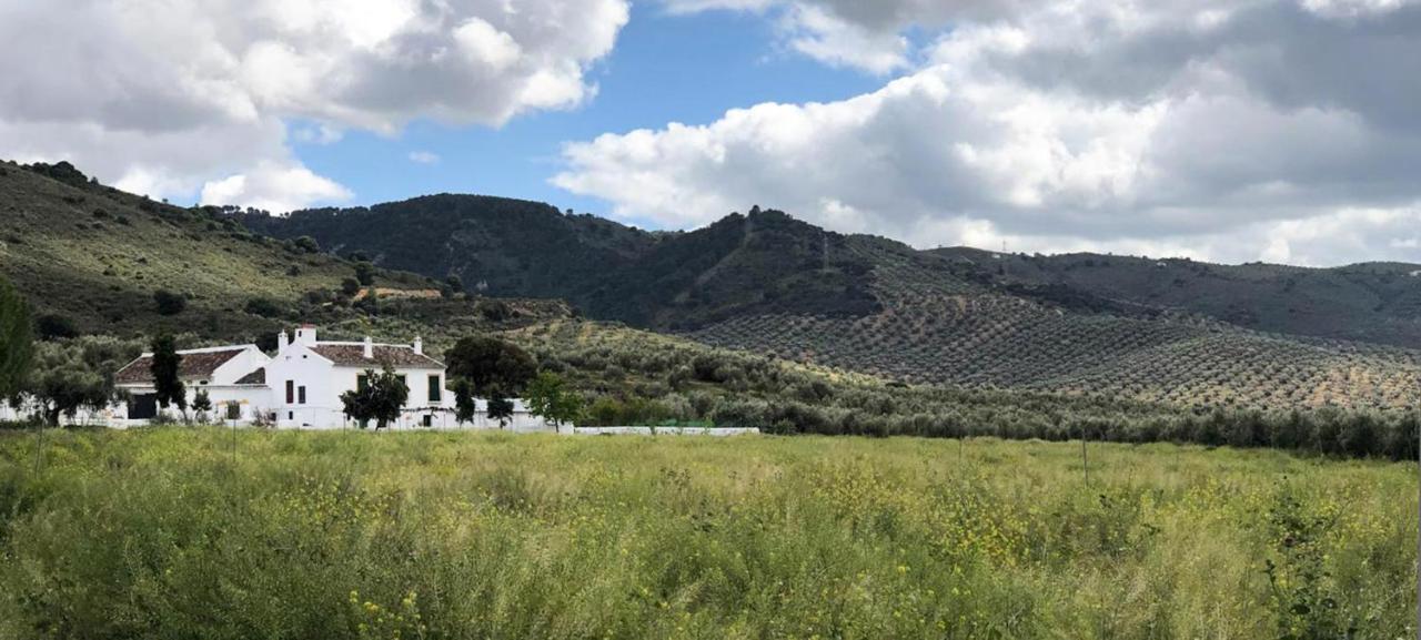 Cortijo Alzamigaja Villa Archidona Exteriör bild